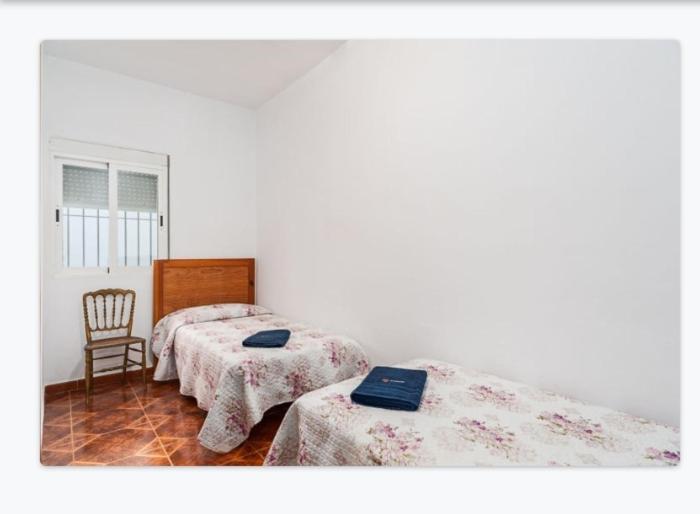 Apartament Casa Loli Conil De La Frontera Zewnętrze zdjęcie